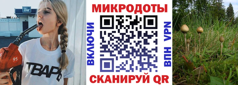 где можно купить   Нюрба  мориарти состав  Псилоцибиновые грибы Psilocybe 