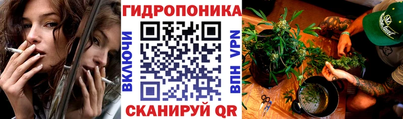 Каннабис план Нюрба